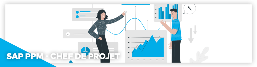 Sap Ppm Formation Chef De Projet Teamsquare